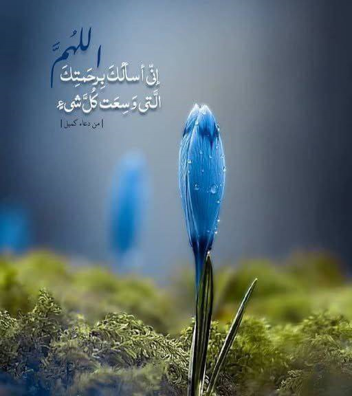دعای کمیل